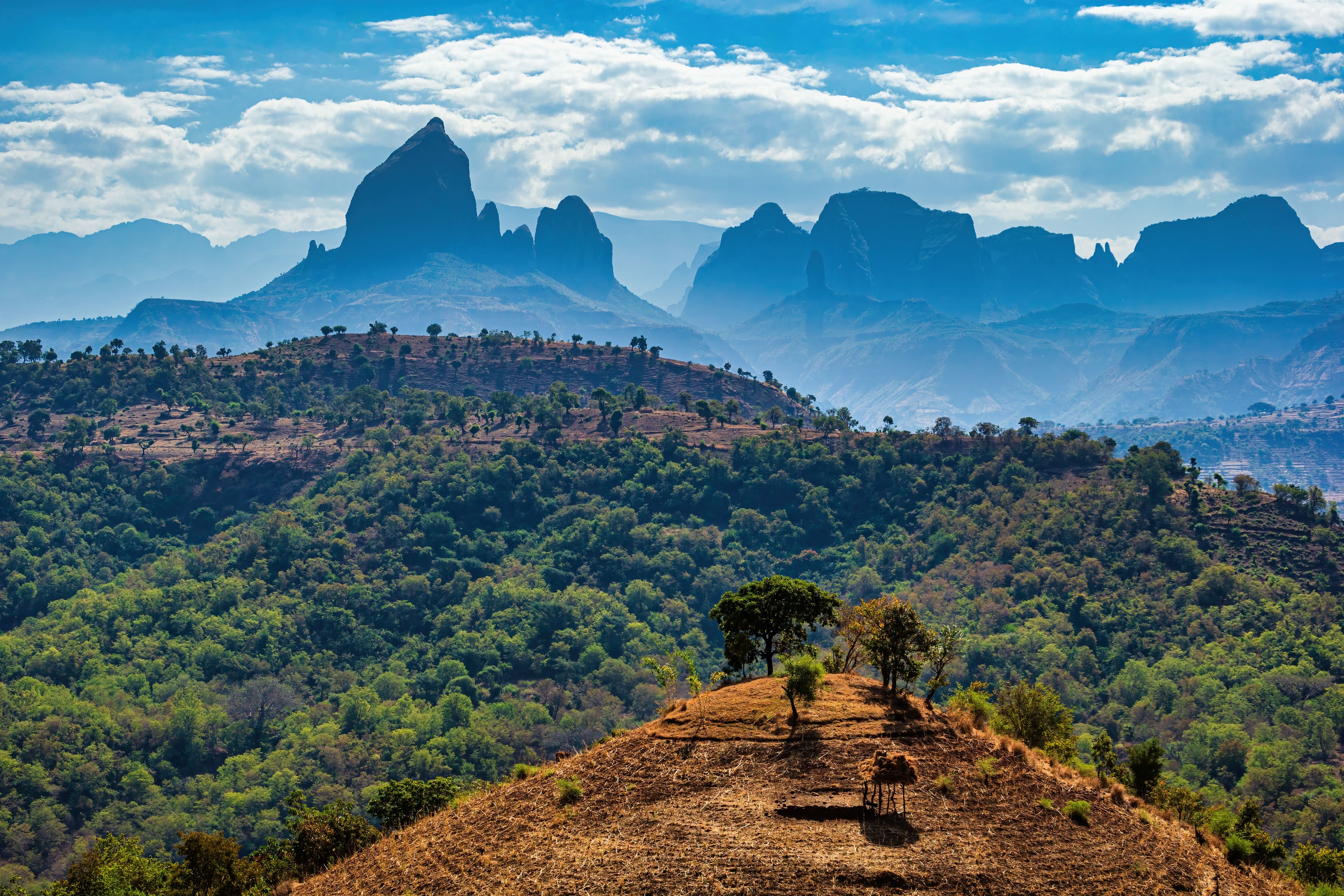 Sidama Ethiopia